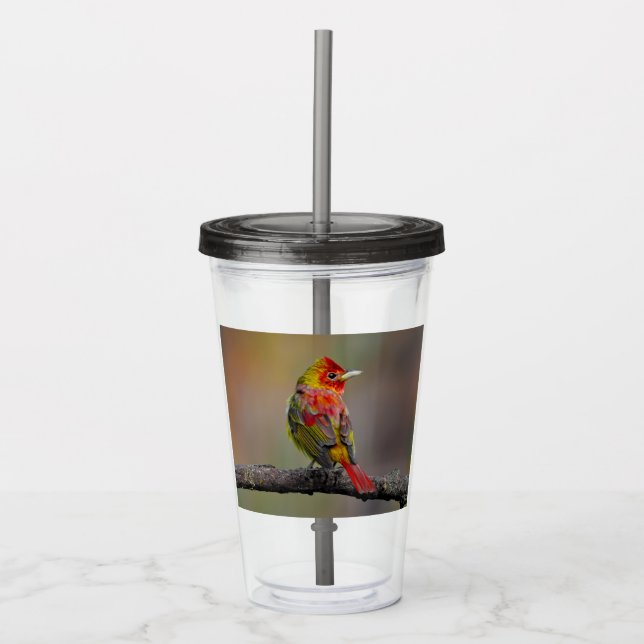Scarlet Tanager Molting - Original Photograph Acrylic Tumbler (Front)