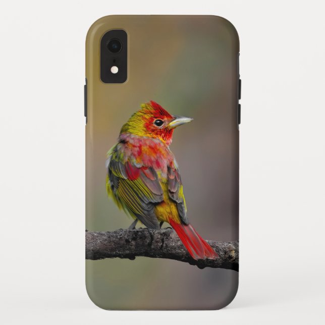 Scarlet Tanager Molting - Original Photograph Case-Mate iPhone Case (Back)