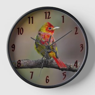Scarlet Tanager Molting - Original Photograph Clock