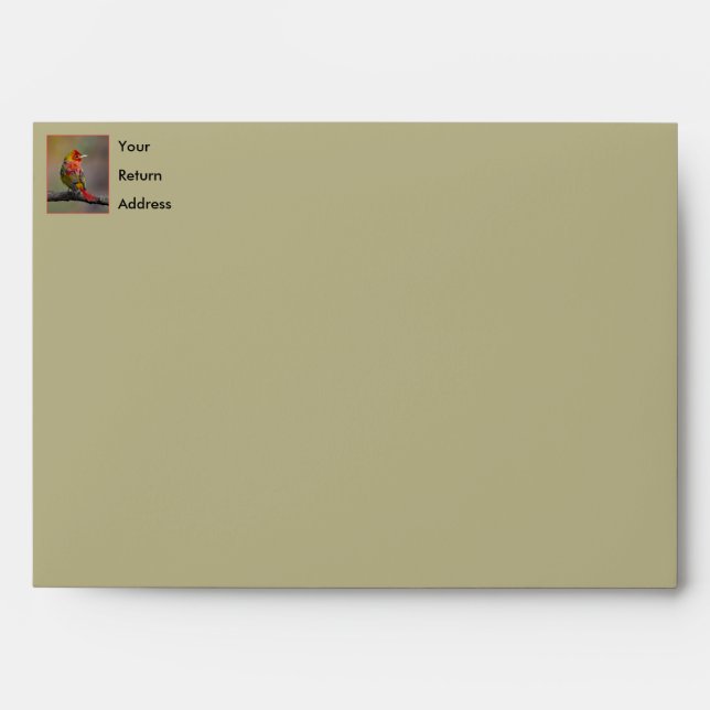 Scarlet Tanager Molting - Original Photograph Envelope (Front)
