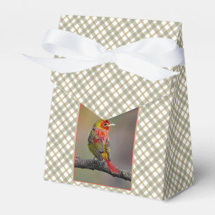 Scarlet Tanager Molting - Original Photograph Favour Box