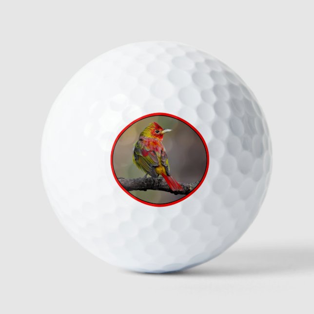 Scarlet Tanager Molting - Original Photograph Golf Balls (Front)