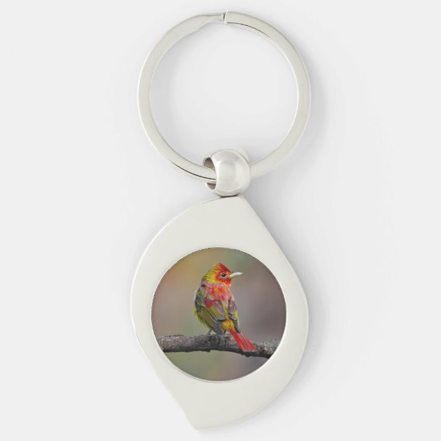 Scarlet Tanager Molting - Original Photograph Key Ring (Front)