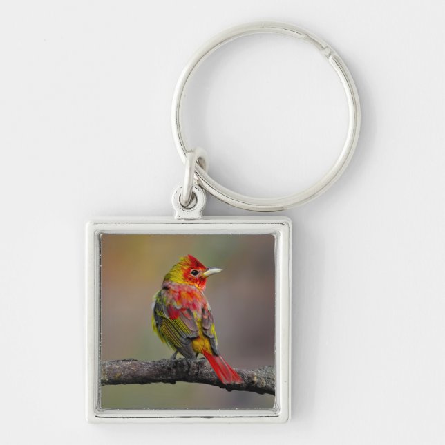 Scarlet Tanager Molting - Original Photograph Key Ring (Front)