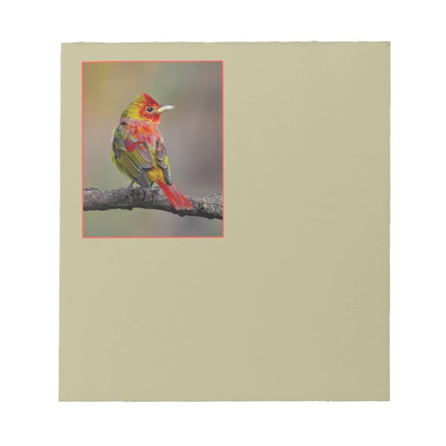 Scarlet Tanager Molting - Original Photograph Notepad (Front)