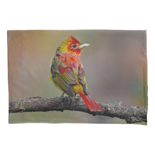 Scarlet Tanager Molting - Original Photograph Pillowcase (Front)