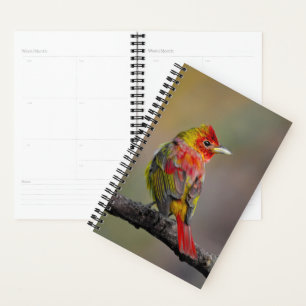 Scarlet Tanager Molting - Original Photograph Planner