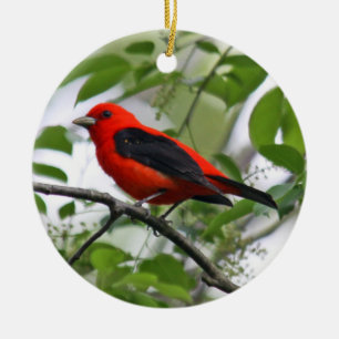 Scarlet Tanager Ornament