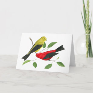 Scarlet Tanager Wildlife Art Card