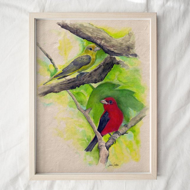 Scarlet Tanagers Birds Watercolor Art Print (Creator Uploaded)