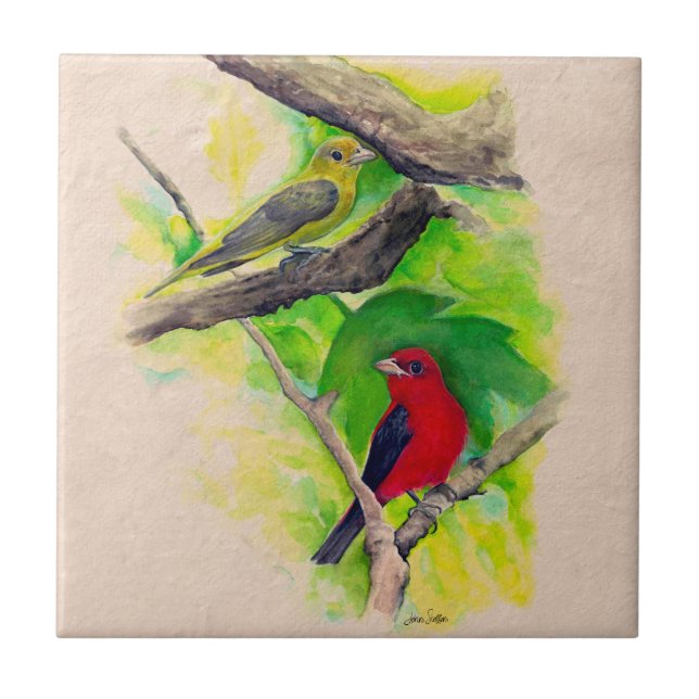 Scarlet Tanagers Birds Watercolor Painting Ceramic Tile (Front)