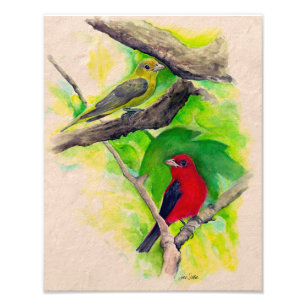 Scarlet Tanagers Birds Watercolor Photo Print