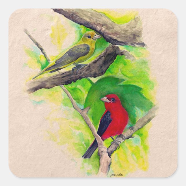 Scarlet Tanagers Painting Square  Sticker (Front)