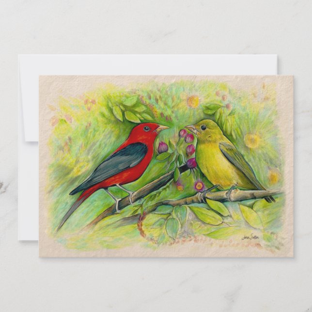  Scarlet Tanagers Watercolor Coloured Pencil Art Thank You Card (Front)