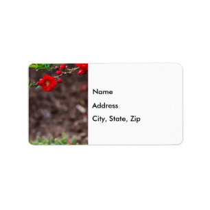 Scarlet Top Address Labels