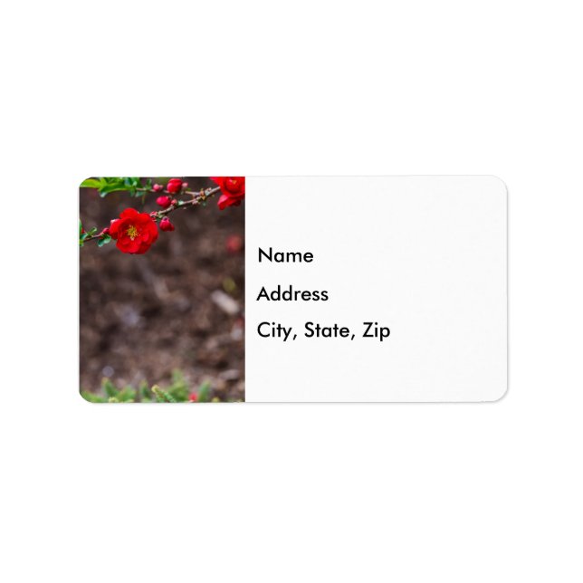 Scarlet Top Address Labels (Front)
