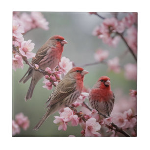 "Scarlet Trio: Red Finches Among Pink Blossoms" Ceramic Tile