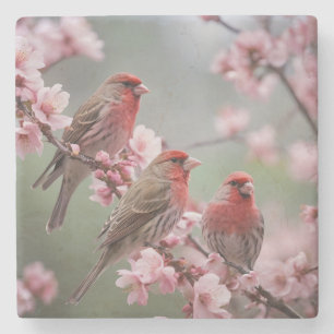 "Scarlet Trio: Red Finches Among Pink Blossoms" Stone Coaster