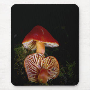 Scarlet Waxcap Mushroom Mouse Pad