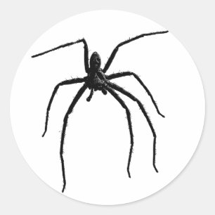 Scary big halloween spider classic round sticker