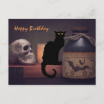 Scary Black Cat and Skull Halloween Happy Birthday Postcard<br><div class="desc">This Halloween Happy Birthday postcard features a scary black cat and spooky skull with a potion bottle.  The greeting can be modified...  Back Greeting ~ Wishing you a very Happy Birthday!   Hope it makes you want to hiss and scream. *</div>