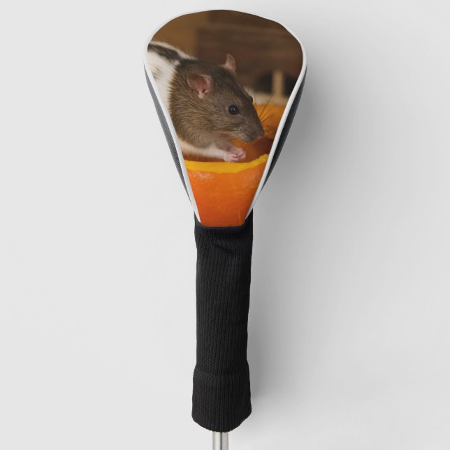 scary Black Hooded rat eating pumpkin seeds Golf Head Cover (Front)