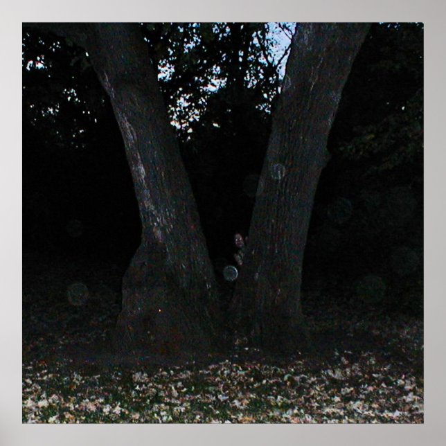 Scary Faerie Poster (Front)