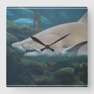 Scary Great White Shark Square Wall Clock