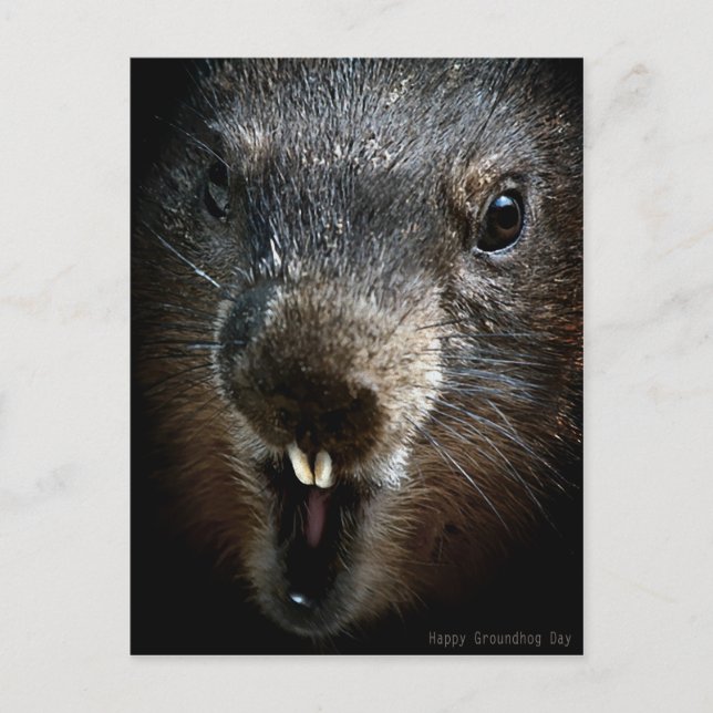 Scary Groundhog Day Postcard (Front)