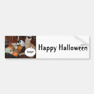 Scary Halloween Cats Bumper Sticker