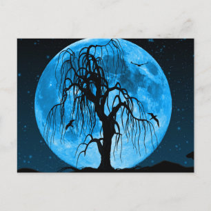 Scary Halloween Night Postcard