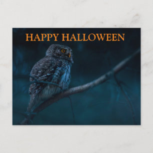 Scary Halloween Night with Owls Postcard