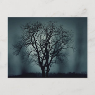 Scary Halloween Night with Raven Crow Postcard