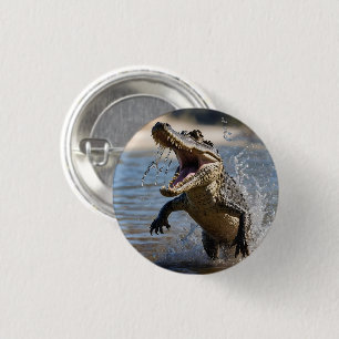 Scary Jaws: Australian Crocodile Leaping 3 Cm Round Badge