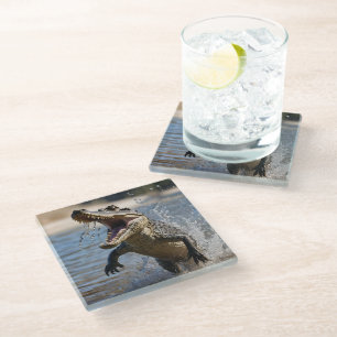Scary Jaws: Australian Crocodile Leaping Glass Coaster