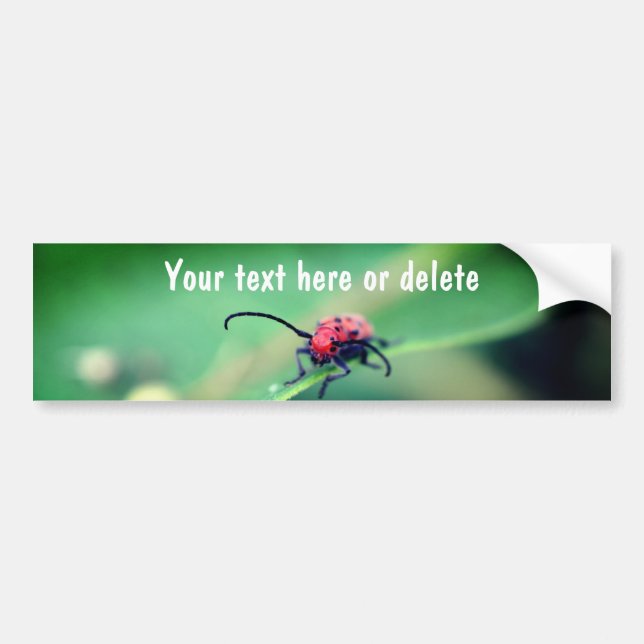 Scary Red Spotted Beetle Nature Personalised Bumper Sticker (Front)