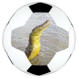 Scary Snappers: The Leap of the Crocodile, Soccer Ball
