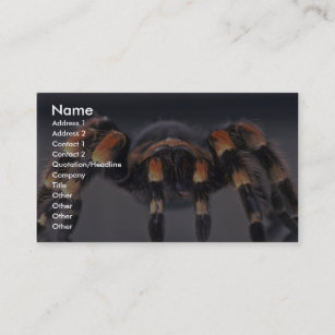 Scary Tarantula spider Business Card
