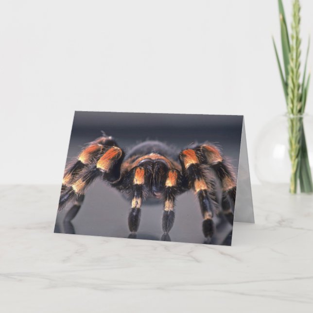 Scary Tarantula spider Card (Front)
