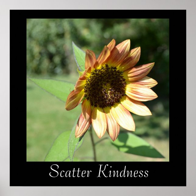 Scatter Kindness Sunflower Poster (Front)