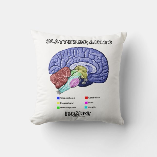 Scatterbrained Inside Brain Geek Humour Cushion (Front)