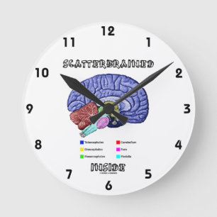 Scatterbrained Inside (Brain Humor) Round Clock
