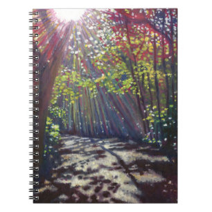 Scattered light 2013 notebook