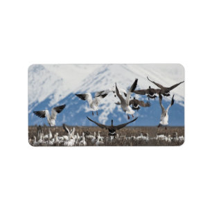 Scattering Geese Label