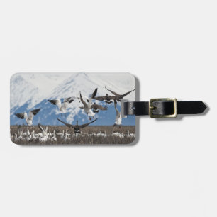Scattering Geese Luggage Tag