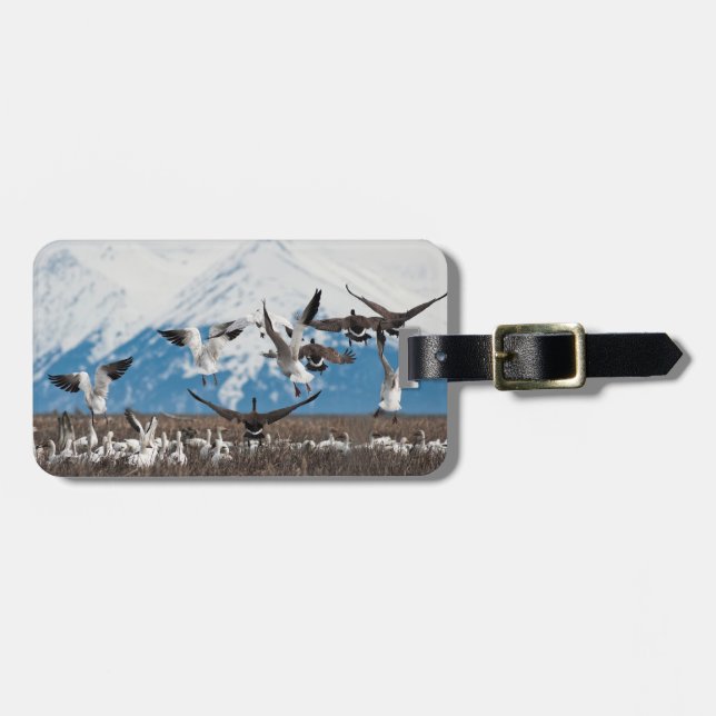 Scattering Geese Luggage Tag (Front Horizontal)
