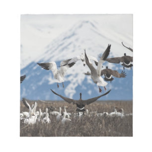 Scattering Geese Notepad