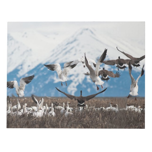 Scattering Geese Notepad (Front)