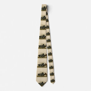 Scaup Duck (Lesser Scaup) Audubon Birds of America Tie