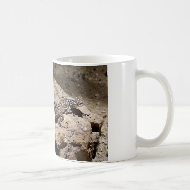 Sceloporus cyanogenys coffee mug (Right)